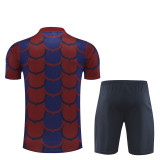 24-25 FC Barcelona (Training clothes) Set.Jersey & Short High Quality