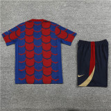 24-25 FC Barcelona (Training clothes) Set.Jersey & Short High Quality