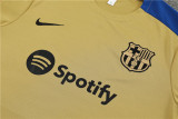 24-25 FC Barcelona (Training clothes) Set.Jersey & Short High Quality