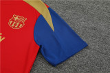 24-25 FC Barcelona (Training clothes) Set.Jersey & Short High Quality