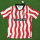 25-26 Stoke home Fans Version Thailand Quality
