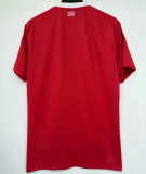 25-26 SC Internacional home Fans Version Thailand Quality