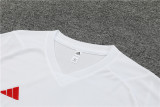 24-25 Manchester United (Training clothes) Set.Jersey & Short High Quality