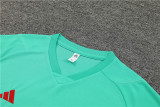 24-25 Manchester United (Training clothes) Set.Jersey & Short High Quality