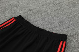 24-25 Manchester United (Training clothes) Set.Jersey & Short High Quality