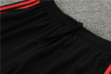24-25 Manchester United (Training clothes) Set.Jersey & Short High Quality