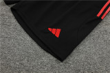 24-25 Manchester United (Training clothes) Set.Jersey & Short High Quality