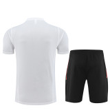 24-25 Manchester United (Training clothes) Set.Jersey & Short High Quality