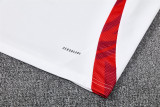24-25 Manchester United (Training clothes) Set.Jersey & Short High Quality