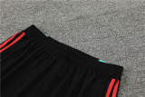 24-25 Manchester United (Training clothes) Set.Jersey & Short High Quality