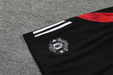 24-25 Manchester United (Training clothes) Set.Jersey & Short High Quality