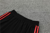24-25 Manchester United (Training clothes) Set.Jersey & Short High Quality