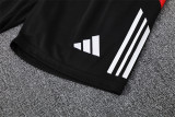 24-25 Manchester United (Training clothes) Set.Jersey & Short High Quality