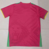 2025 Cameroun Away Fans Version Thailand Quality