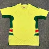 2024 Wales Away Fans Version Thailand Quality