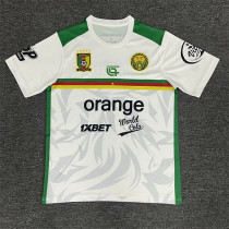 2025 Cameroun (Training clothes) Fans Version Thailand Quality