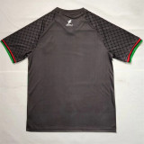 2025 Palestine Fans Version Thailand Quality