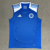 25-26 Cruzeiro home (vest) Fans Version Thailand Quality