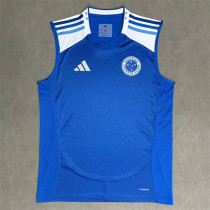 25-26 Cruzeiro home (vest) Fans Version Thailand Quality