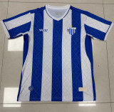 25-26 Avai FC home Fans Version Thailand Quality