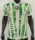 2025 Nigeria home Player Version Thailand Quality