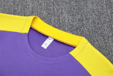 25-26 Atletico Madrid (Training clothes) Set.Jersey & Short High Quality