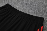 25-26 Bayern München (Training clothes) Set.Jersey & Short High Quality