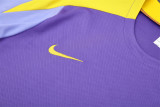 25-26 Atletico Madrid (Training clothes) Set.Jersey & Short High Quality