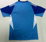 25-26 Real Madrid (Goalkeeper) Fans Version Thailand Quality