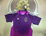 25-26 LA Galaxy (Goalkeeper) Fans Version Thailand Quality