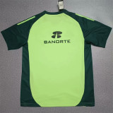 2025 Mexico (Special Edition) Fans Version Thailand Quality