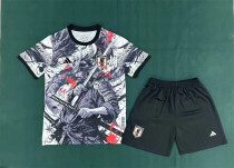 2025 Japan (Training clothes) Adult Jersey & Short Set Quality