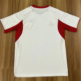 25-26 Sevilla FC (Midea) Fans Version Thailand Quality