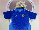 2025 Venezuela (Goalkeeper) Fans Version Thailand Quality
