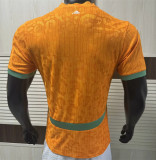 2025 Coate d'Ivoire home Player Version Thailand Quality