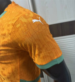 2025 Coate d'Ivoire home Player Version Thailand Quality