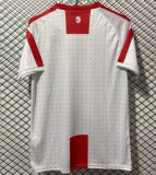 2025 Georgia home Fans Version Thailand Quality