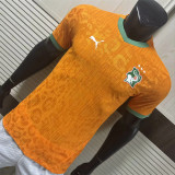 2025 Coate d'Ivoire home Player Version Thailand Quality