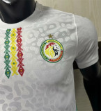 2025 Senegal home Player Version Thailand Quality