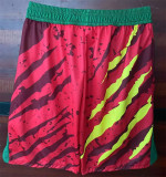 25-26 Senegal Soccer shorts Thailand Quality