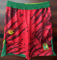 25-26 Senegal Soccer shorts Thailand Quality
