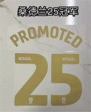 25  Sunderland AFC  PROMOTED 25#