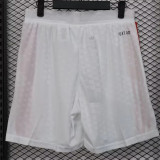 2025 Japan (Player Version) Soccer shorts Thailand Quality