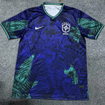 2025 Brazil (Special Edition) Fans Version Thailand Quality