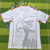 25-26 SL Benfica (Special Edition) Fans Version Thailand Quality