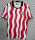 25-26 Stoke home Fans Version Thailand Quality