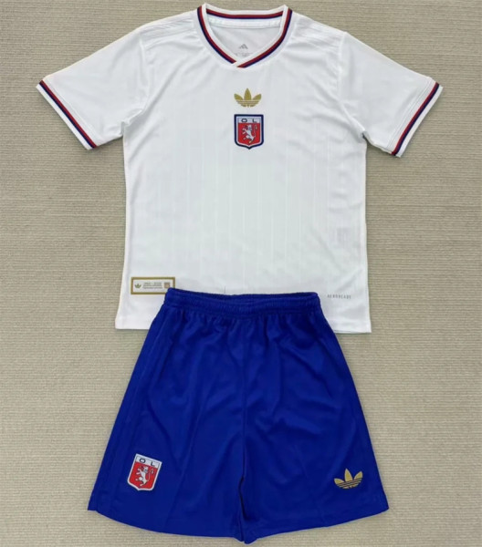 Kids kit 25-26 Olympique Lyonnais (anniversary) Thailand Quality
