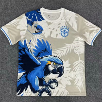 2025 Brazil (Special Edition) Fans Version Thailand Quality