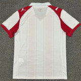 25-26 Southampton home Fans Version Thailand Quality