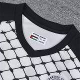 24-25 Palestine Fans Version Thailand Quality